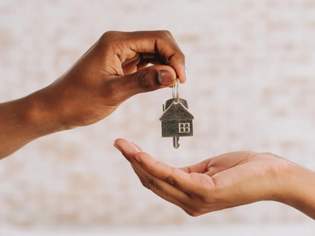Professional Management of Your Property